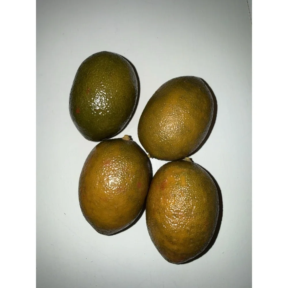 Limes Artificial Faux Fake Fruit Yellow 4Pc Lot Home Decor Realistic Lightweight
